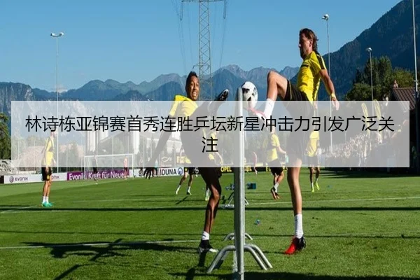 林诗栋亚锦赛首秀连胜乒坛新星冲击力引发广泛关注